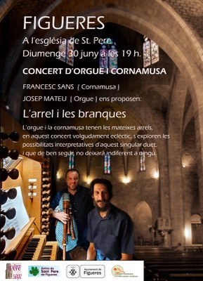 Concert d'orgue i cornamusa