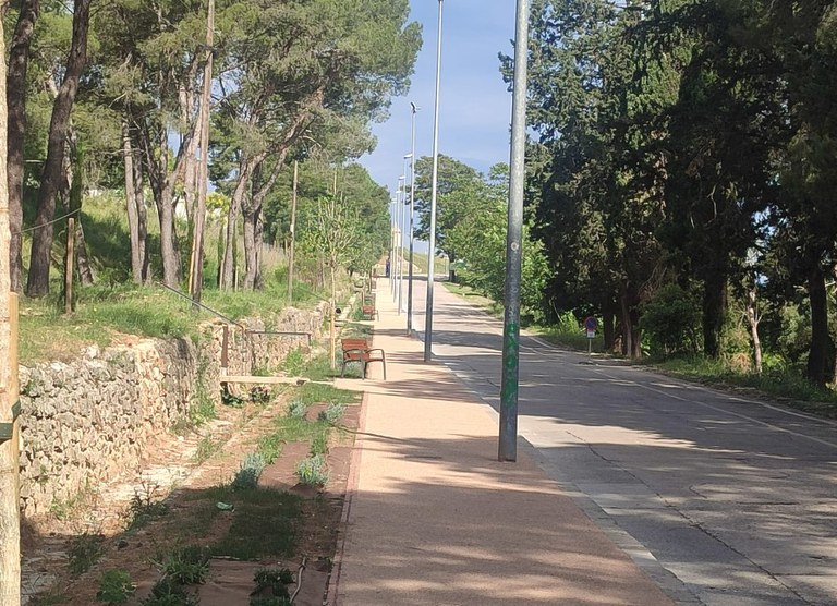 Entorn de la Pujada del Castell.jpg